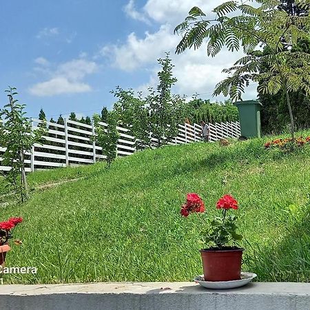 Fruskogorska Idila Apartmani 维尔蒂尼克 外观 照片