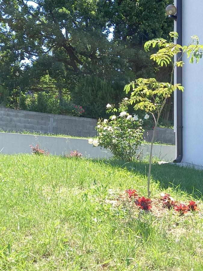 Fruskogorska Idila Apartmani 维尔蒂尼克 外观 照片