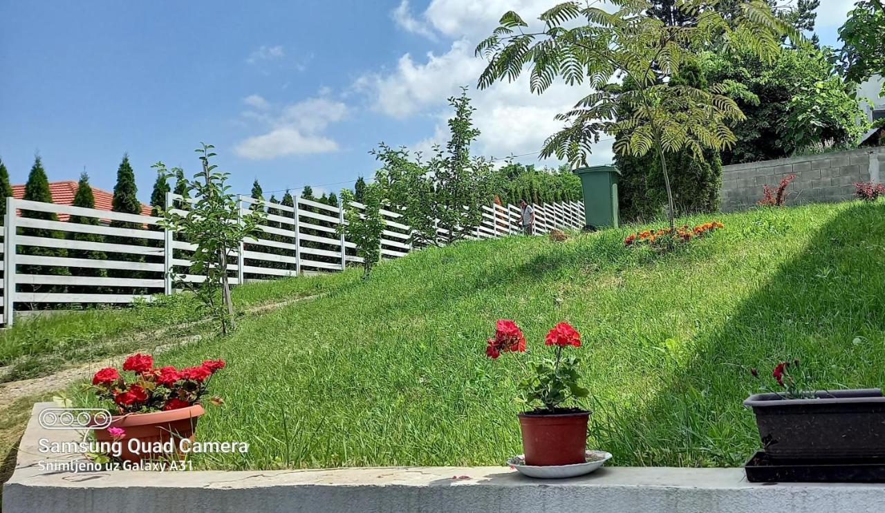 Fruskogorska Idila Apartmani 维尔蒂尼克 外观 照片