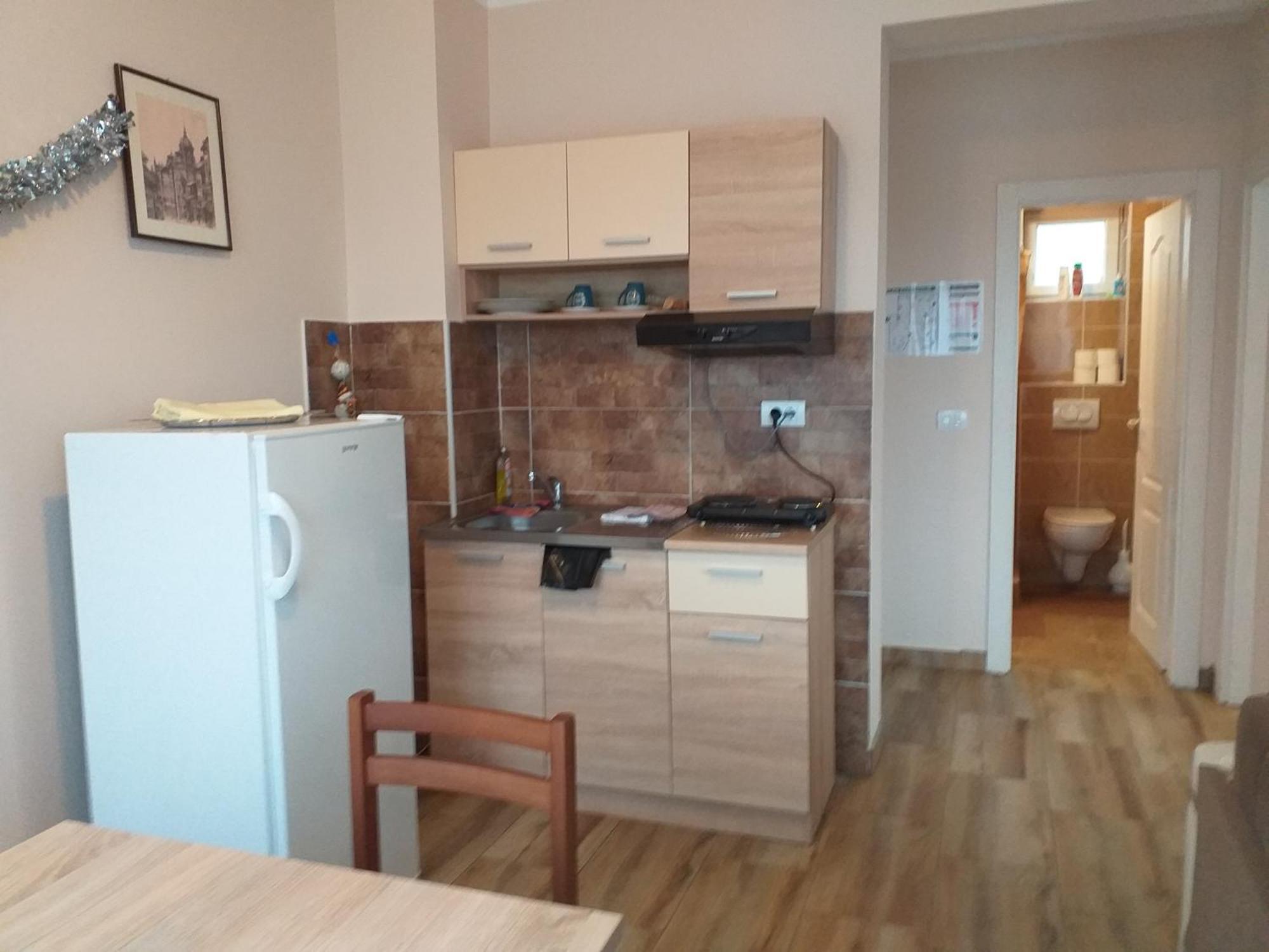 Fruskogorska Idila Apartmani 维尔蒂尼克 外观 照片
