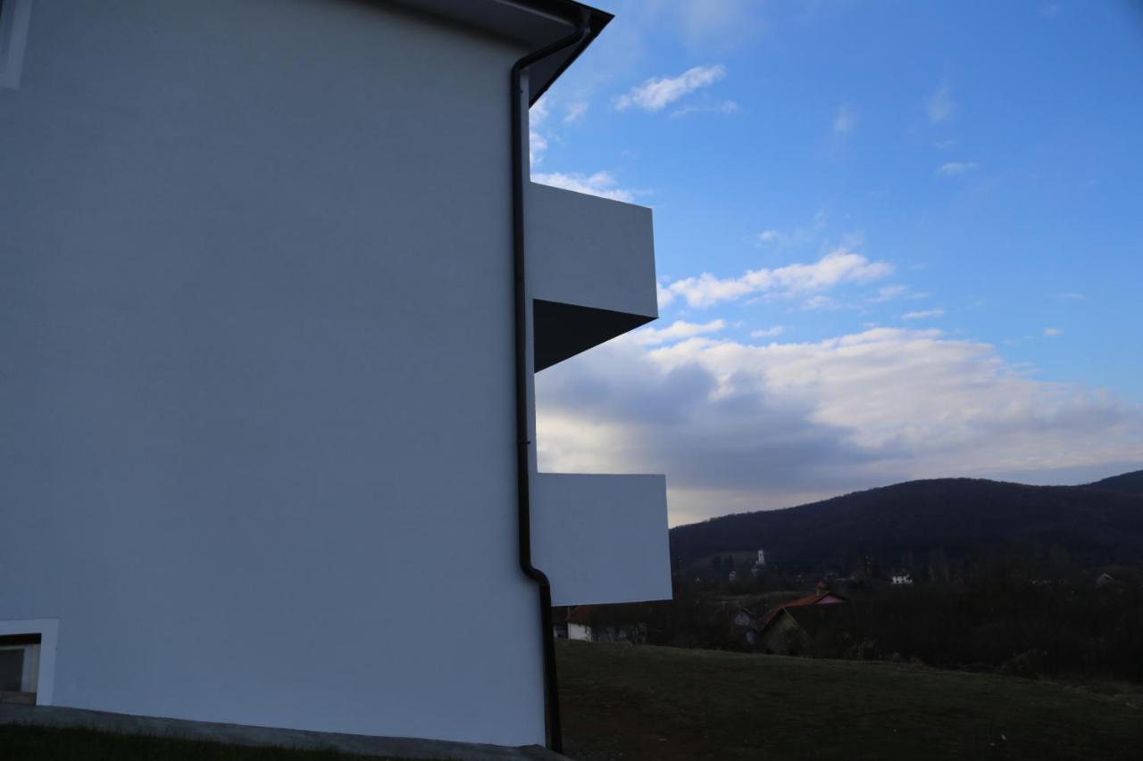 Fruskogorska Idila Apartmani 维尔蒂尼克 外观 照片